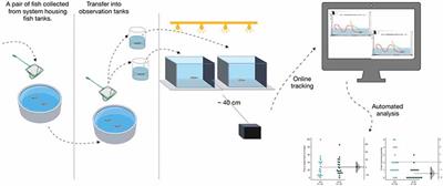 An Automated Assay System to Study Novel Tank Induced Anxiety